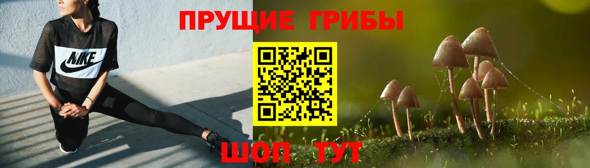 Псилоцибиновые грибы GOLDEN TEACHER  Вход с VPN  Галлюциногенные грибы GOLDEN TEACHER  Ростов Великий 
